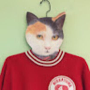 Meet your Posher, Albert